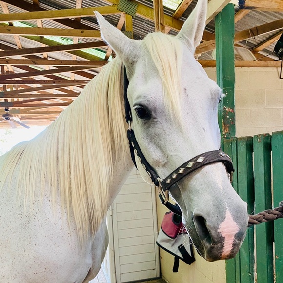 Meet the Posher Other - Meet your Posher, Christie